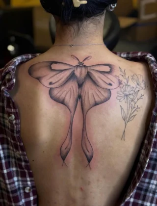 Wayne's Tattoo World — tattoo shop in Derry, NH — photo 1